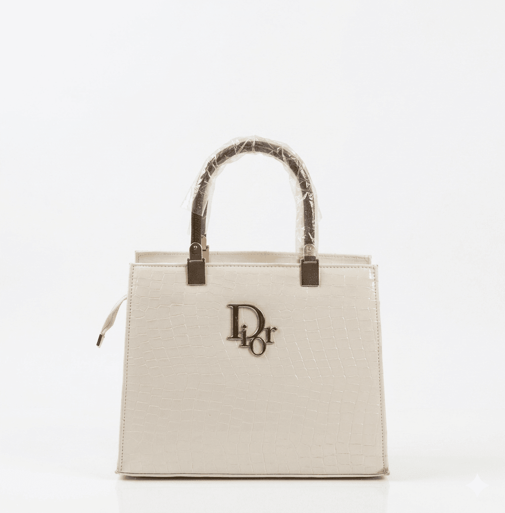 ACRYLIC DIOR handbag