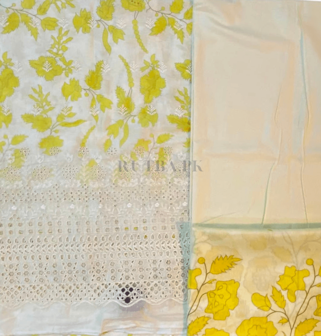 CHIKANKARI heavy daman 3piece
