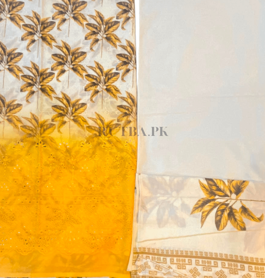 CHIKANKARI heavy daman 3piece