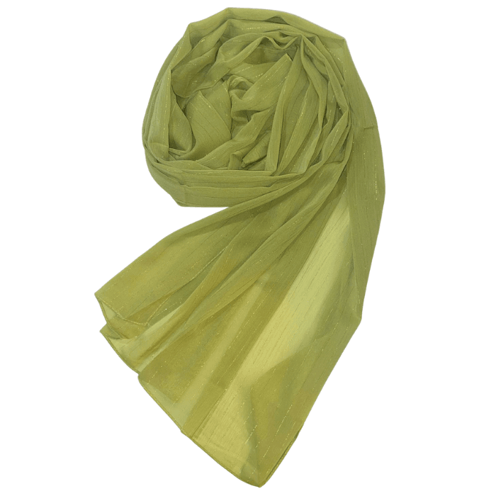 Rutba Zari Georgette Dupatta